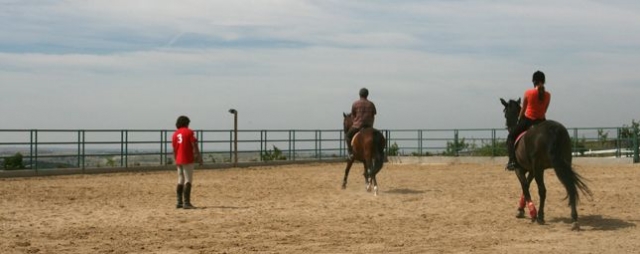  Dressage and riding classes. 